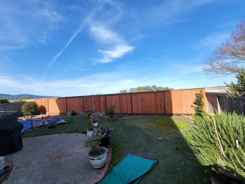 Trusted yard cleanup service for residential properties across Novato, CA - Edgar's Tree Service & Landscape