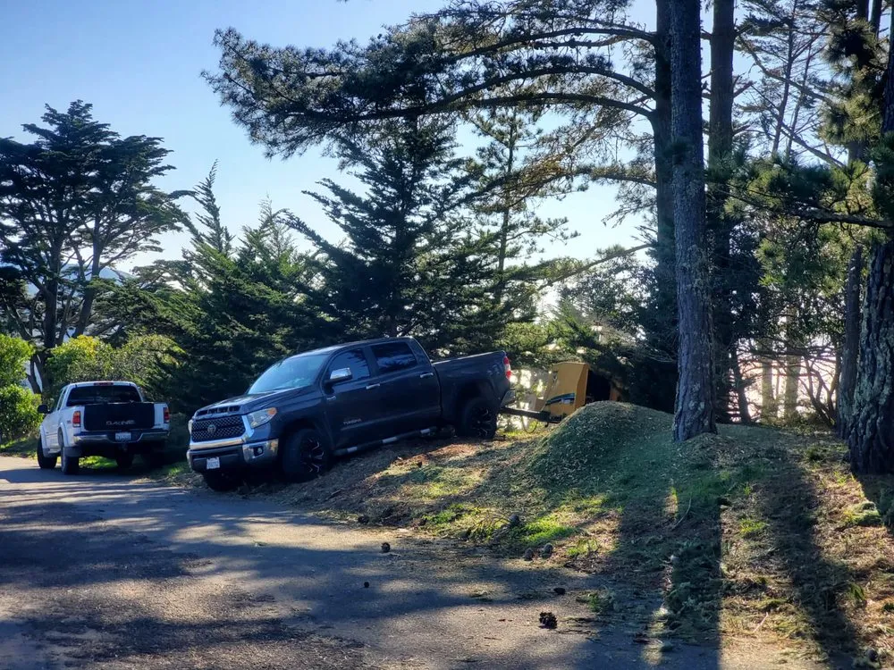 Local garden landscaping in Novato, CA by Edgar's Tree Service & Landscape