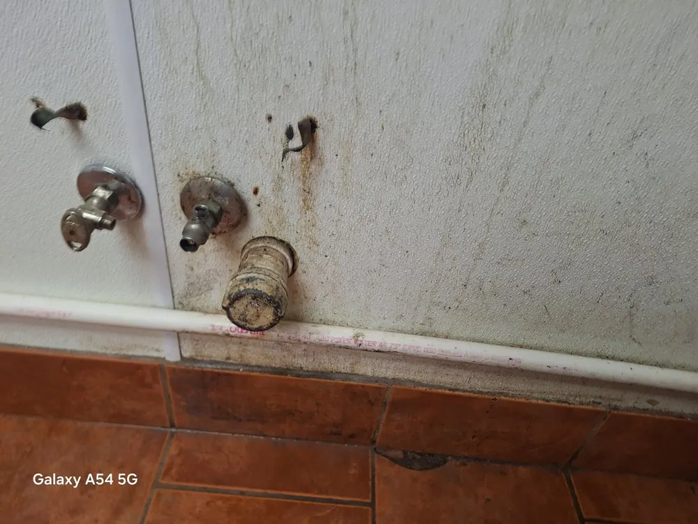 Custom yard maintenance near you across North Liberty, IA - Edge 2 Edge Cleaning