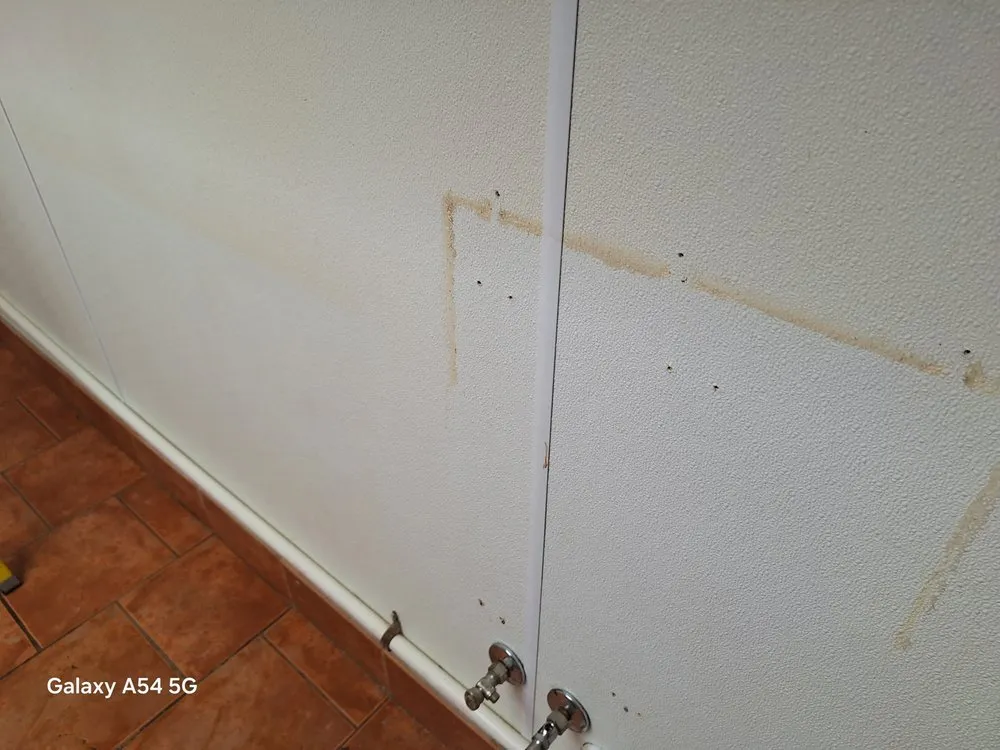 Custom yard cleanup service for residential properties across North Liberty, IA - Edge 2 Edge Cleaning