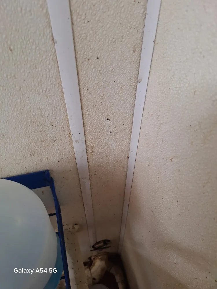 Professional garden landscaping in North Liberty, IA by Edge 2 Edge Cleaning