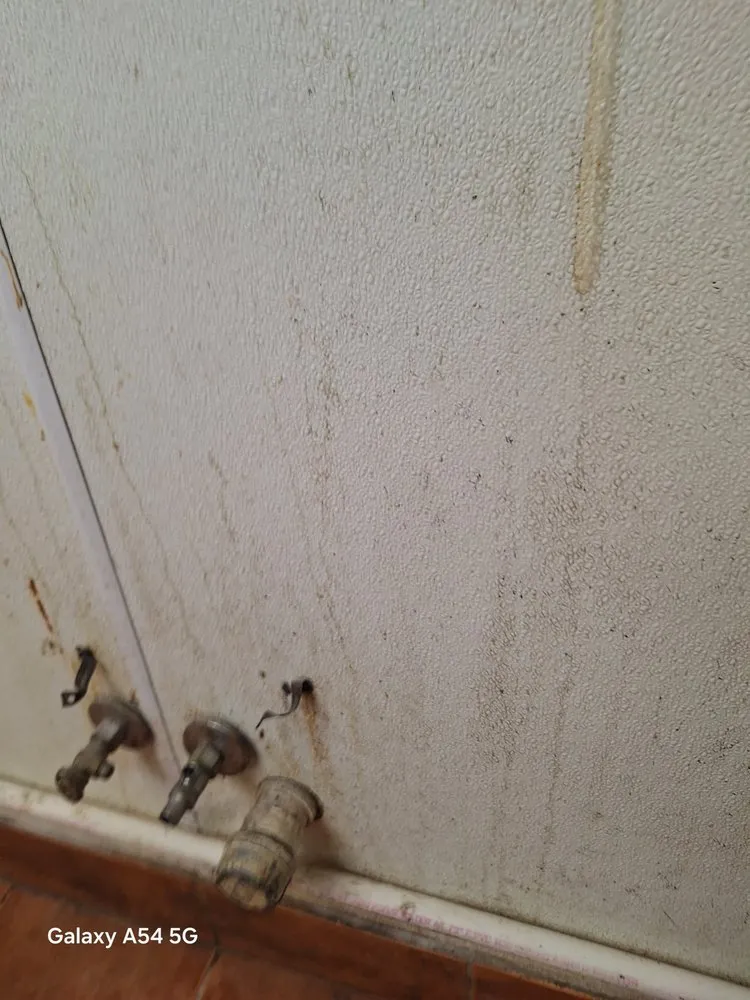 Reliable lawn mowing service in North Liberty, IA - Edge 2 Edge Cleaning