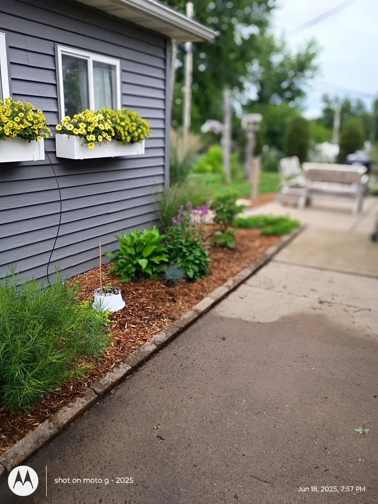 Professional yard maintenance in North Liberty, IA - Edge 2 Edge Cleaning