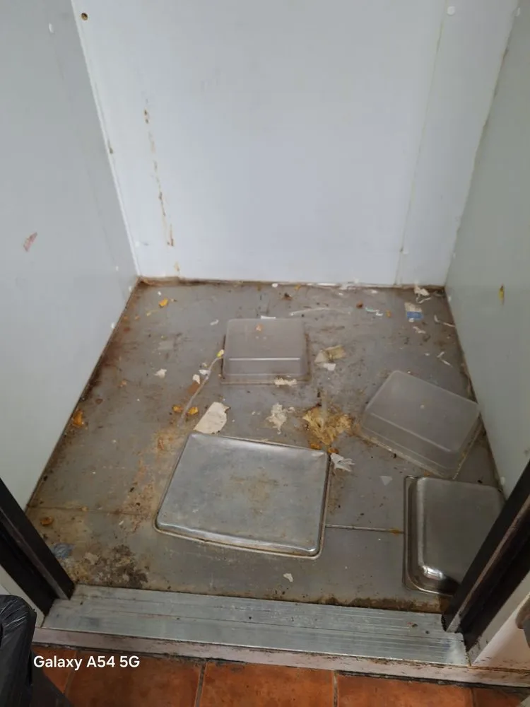 Expert landscaping services near you across North Liberty, IA - Edge 2 Edge Cleaning