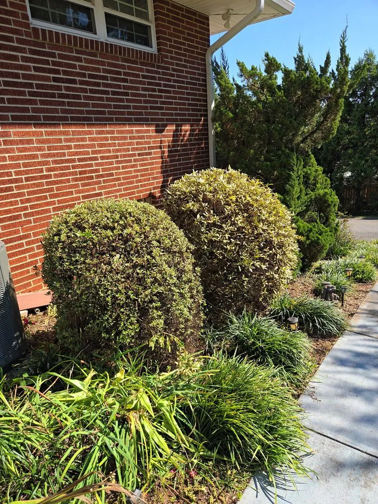 Trusted lawn mowing service in Rossville, GA by Edge Control Outdoor Services