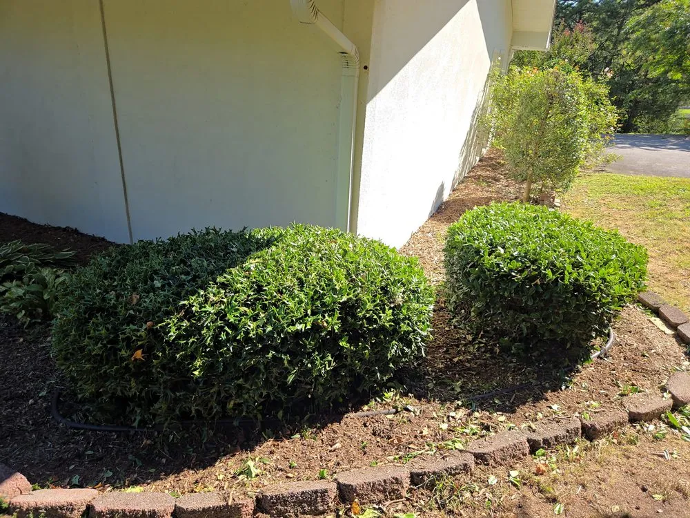 Local lawn care service in Rossville, GA - Edge Control Outdoor Services
