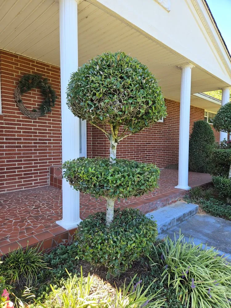 Professional garden landscaping for outdoor upgrades across Rossville, GA - Edge Control Outdoor Services