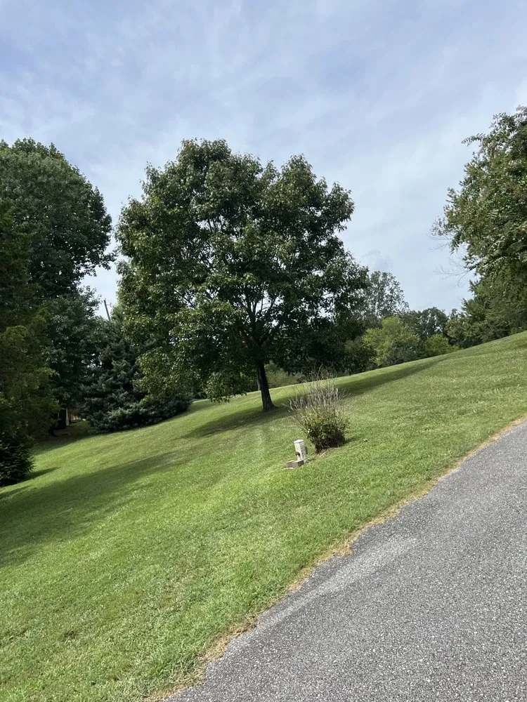 Affordable landscaping services in Rossville, GA by Edge Control Outdoor Services