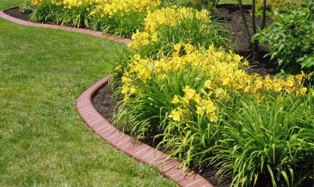 Expert landscape design for residential properties across Saint John, IN - Edge Crafters