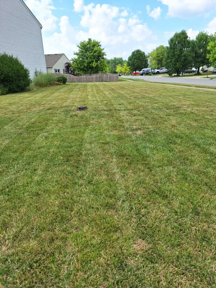 Affordable garden landscaping for year-round maintenance across Whiteland, IN - Edge Cut LawnCare
