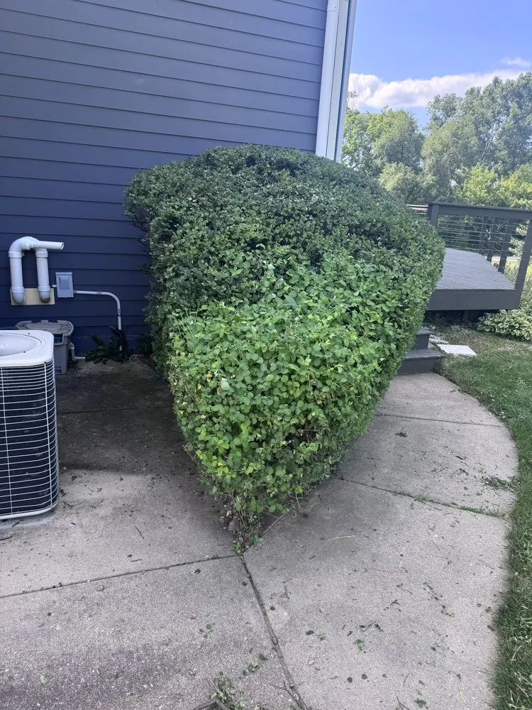 Top-rated landscape design for outdoor upgrades in Waukesha, WI by Edge It