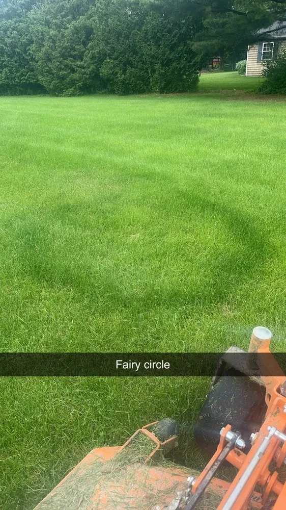 Expert lawn care service in Waukesha, WI by Edge It