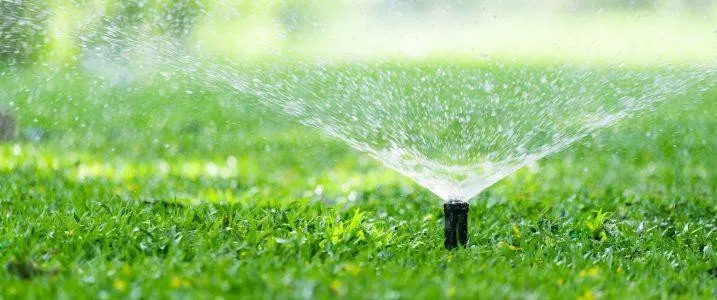 Custom landscaping services for beautiful yards in Deer Park, CA by Edge Landscape