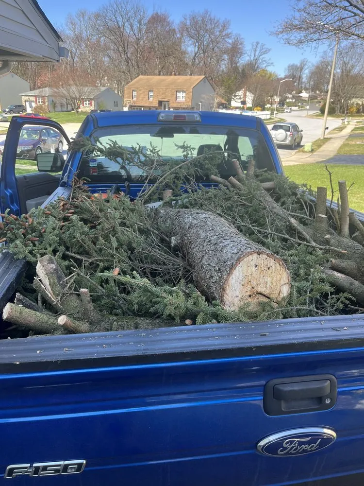 Local landscaping services near you in Media, PA by Edge Landscaping