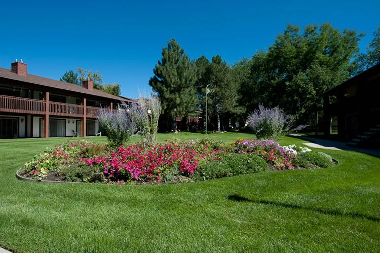Trusted lawn care service in Neola, UT - Edge Landscaping