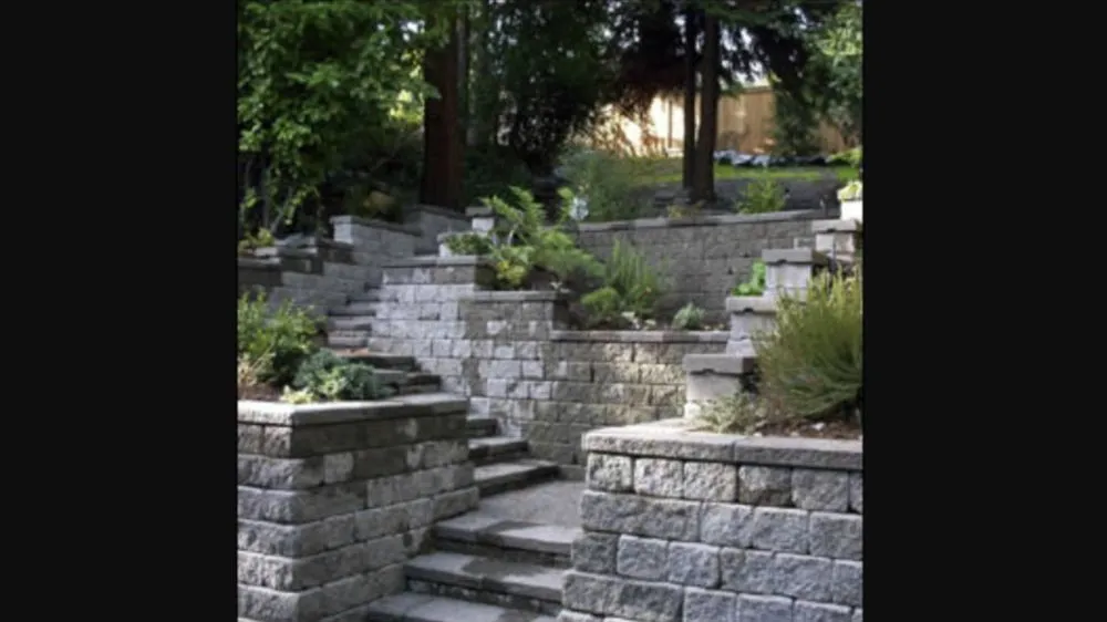 Affordable yard cleanup service in Seattle, WA by Edge Landscaping
