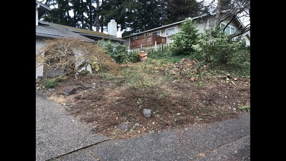 Professional yard maintenance in Seattle, WA - Edge Landscaping