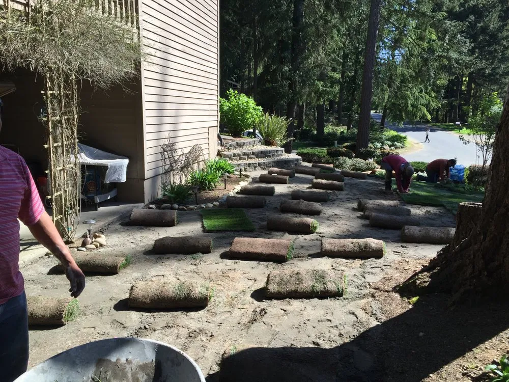 Reliable residential landscaping in Seattle, WA by Edge Landscaping