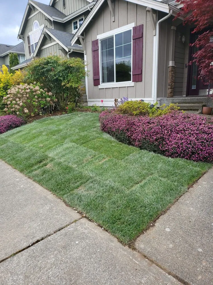 Professional lawn mowing service for homes across Seattle, WA - Edge Landscaping