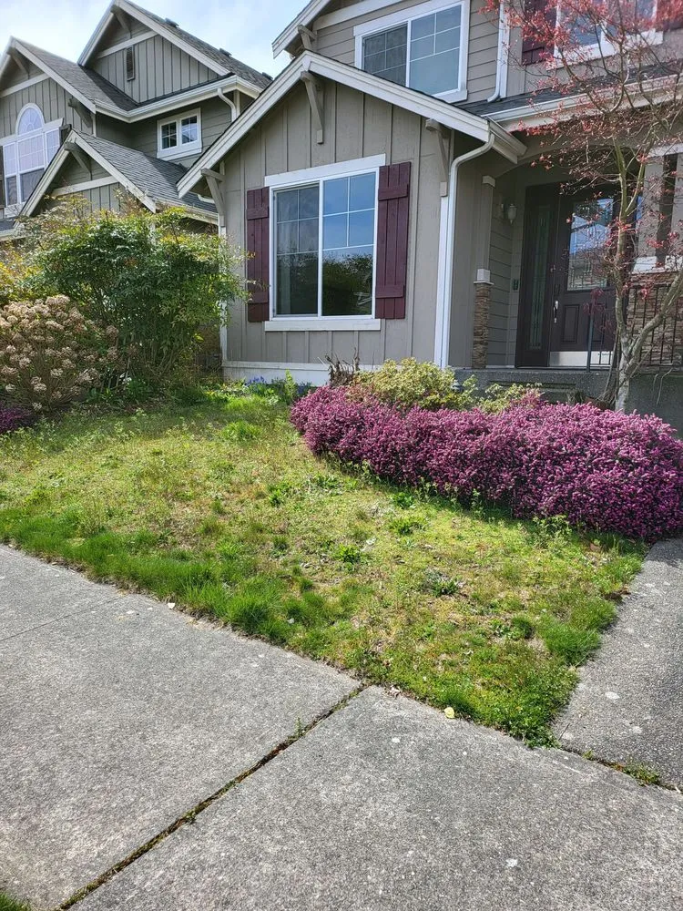Local yard maintenance in Seattle, WA - Edge Landscaping
