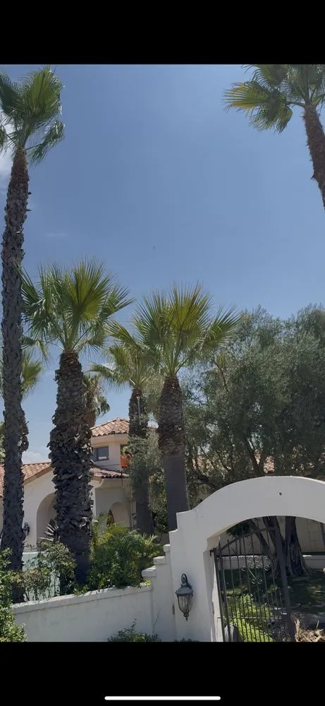 Custom landscaping services for outdoor upgrades in Vista, CA by Edge Landscaping