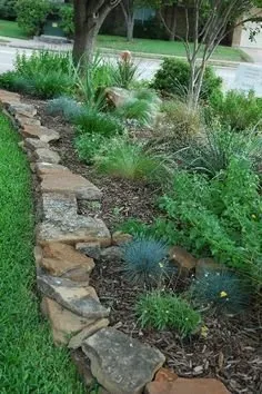 Professional yard cleanup service experts serving Vista, CA - Edge Landscaping