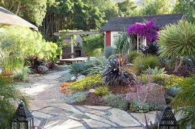 Custom landscape design with custom design in Vista, CA by Edge Landscaping