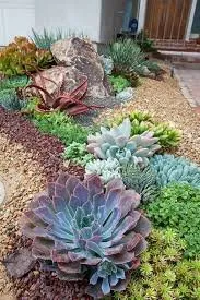 Affordable yard maintenance in Vista, CA - Edge Landscaping
