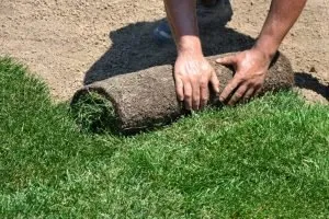 Trusted lawn care service experts serving Vista, CA - Edge Landscaping