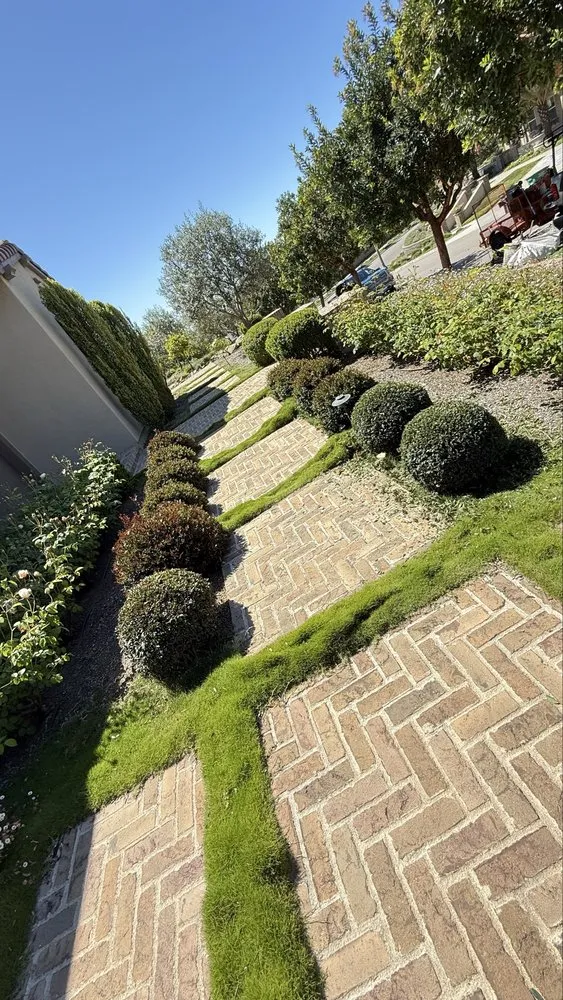 Professional landscape design in Vista, CA by Edge Landscaping