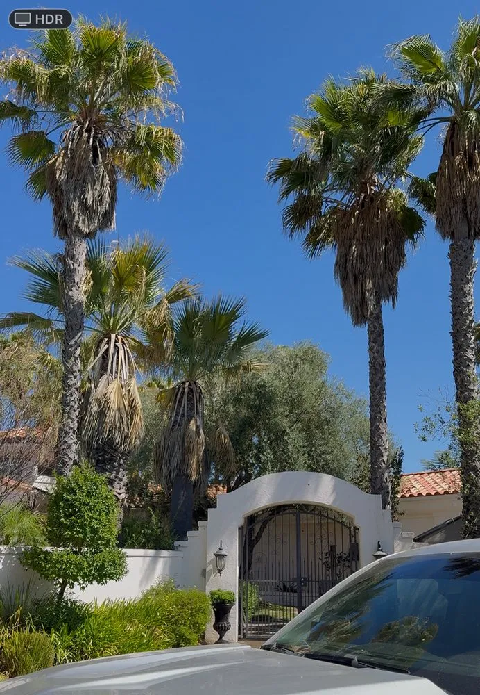 Top-rated yard maintenance experts serving Vista, CA - Edge Landscaping