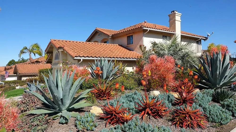 Reliable residential landscaping in Vista, CA - Edge Landscaping