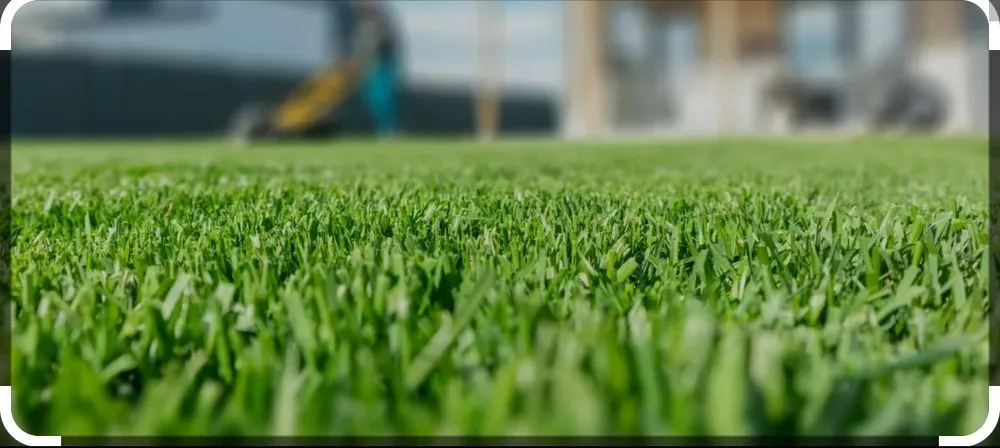 Local lawn mowing service in Crosby, TX - Edge Lawn Care