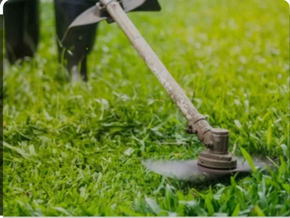Custom lawn care service experts serving Crosby, TX - Edge Lawn Care