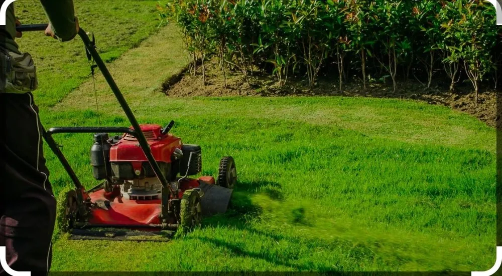 Reliable residential landscaping experts serving Crosby, TX - Edge Lawn Care