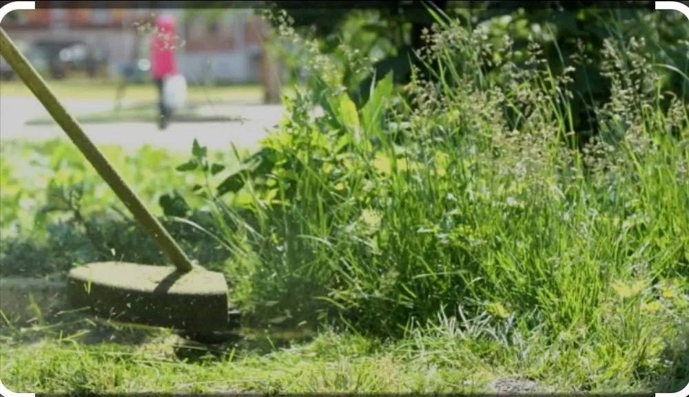 Local yard maintenance in Crosby, TX by Edge Lawn Care