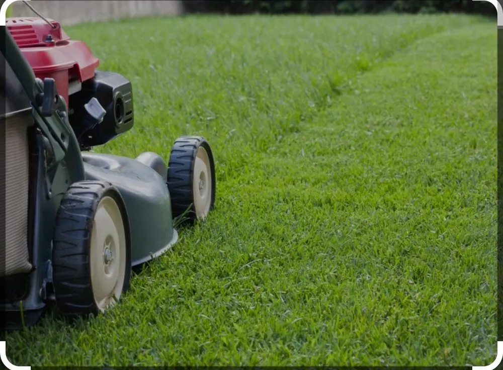 Local lawn mowing service in Crosby, TX by Edge Lawn Care