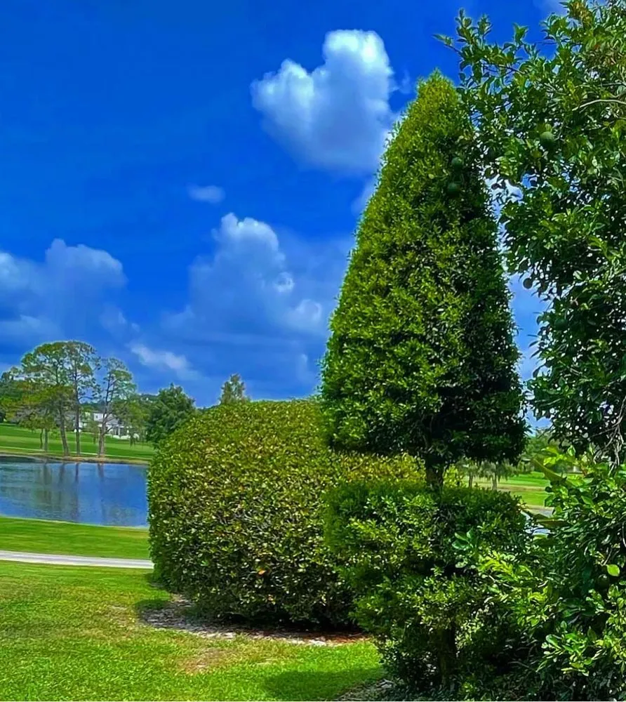 Trusted landscape design experts serving Ocoee, FL - Edge Lawn Care
