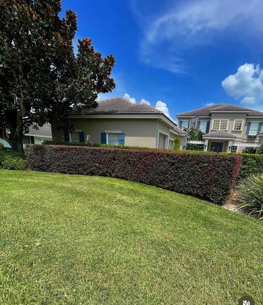 Professional landscape design in Ocoee, FL by Edge Lawn Care