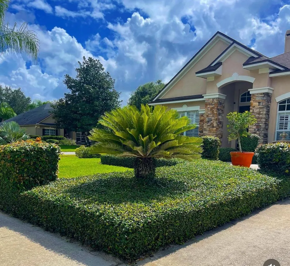 Custom outdoor landscaping in Ocoee, FL by Edge Lawn Care