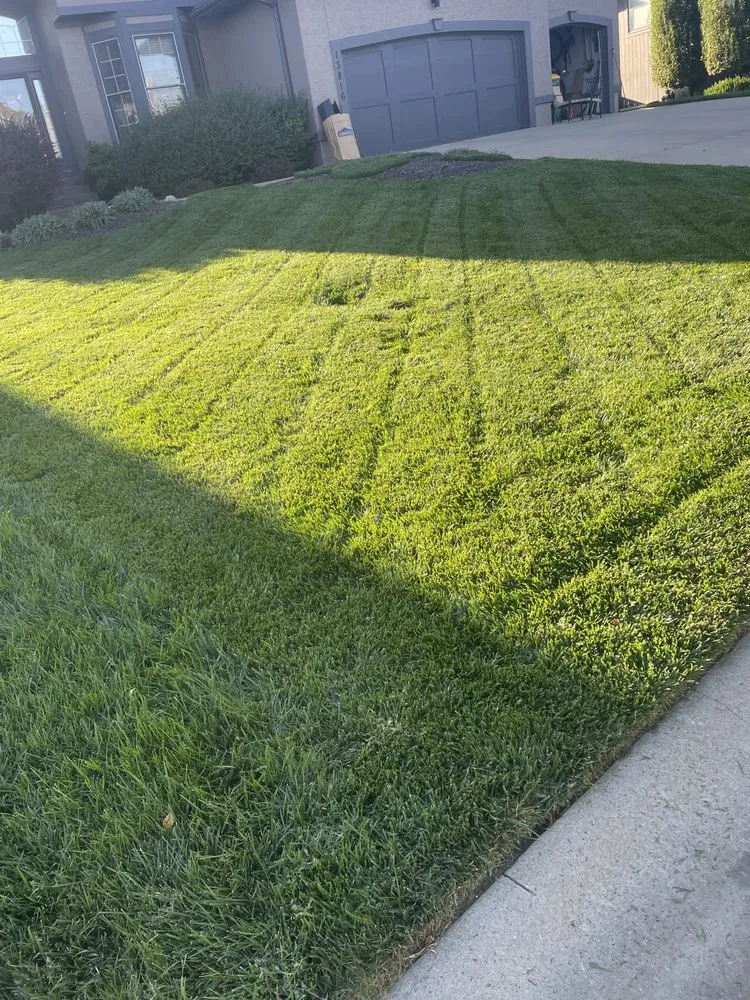 Custom yard cleanup service in Overland Park, KS - Edge Lawn Services