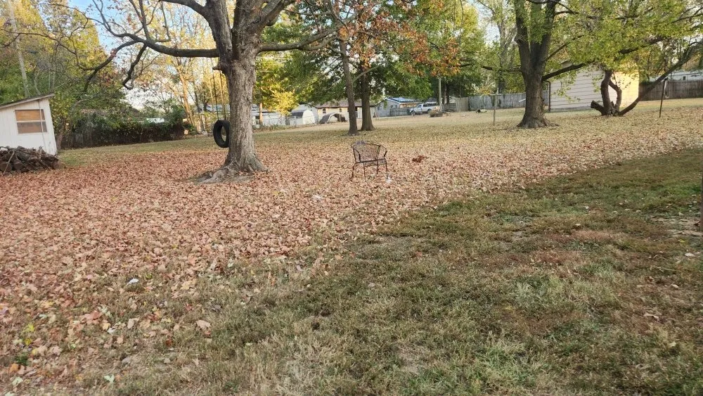 Reliable landscape installation experts serving Monett, MO - Edge Mowing