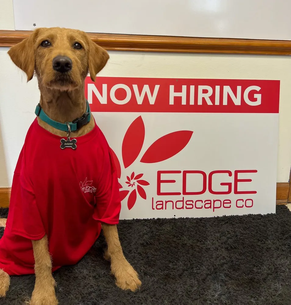 Top-rated residential landscaping for homes in Wilmington, NC by Edge Outdoor Living