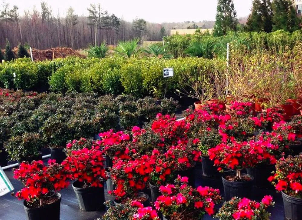 Custom landscape installation for outdoor upgrades in Wilmington, NC by Edge Outdoor Living