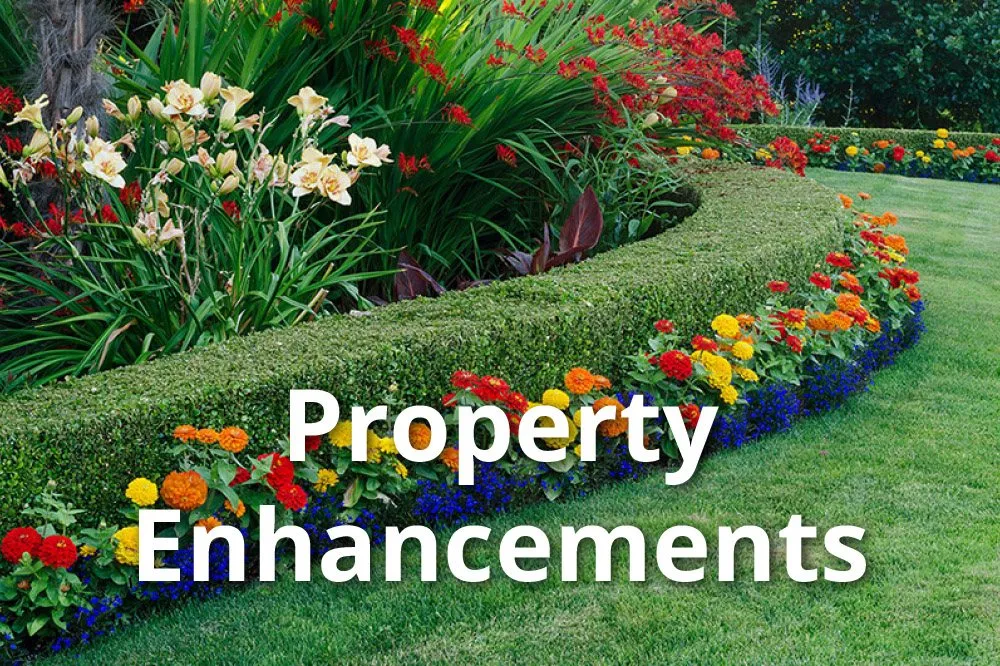 Top-rated lawn care service in Wilmington, NC - Edge Outdoor Living