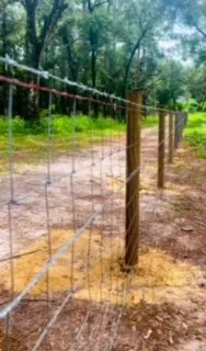 Trusted lawn mowing service in Mount Dora, FL - Edge Outdoors