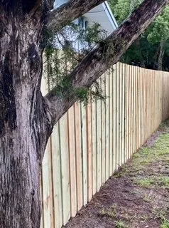 Top-rated yard cleanup service experts serving Mount Dora, FL - Edge Outdoors