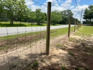 Trusted garden landscaping experts serving Mount Dora, FL - Edge Outdoors