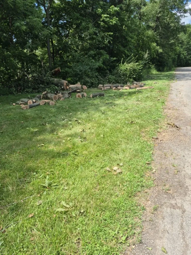 Custom landscaping services for year-round maintenance in Antwerp, OH by Edge to Edge Construction