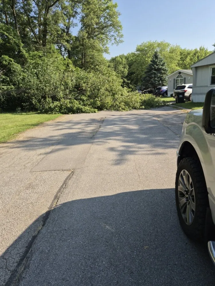 Reliable yard cleanup service for outdoor upgrades in Antwerp, OH by Edge to Edge Construction